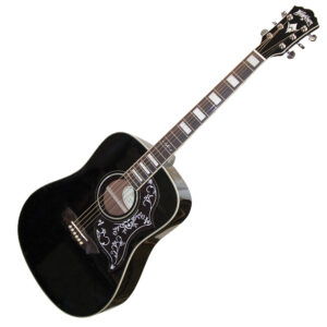 Washburn WD 210SEB