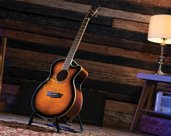 Washburn EA15 ATB ozvučena akustična gitara - Image 9